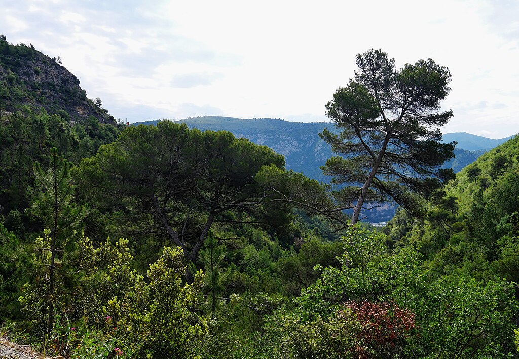 Artisan renovation interieure Alpes-Maritimes