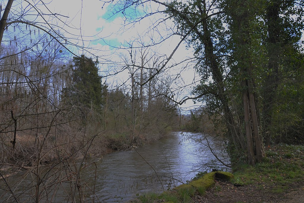 Artisan renovation interieure Corrèze