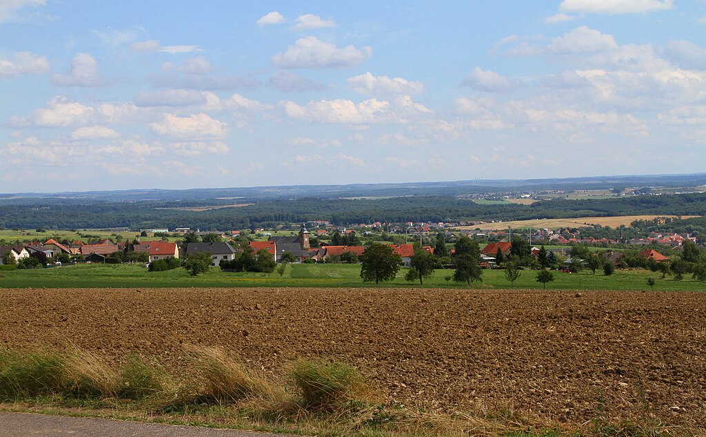 Artisan renovation interieure Moselle