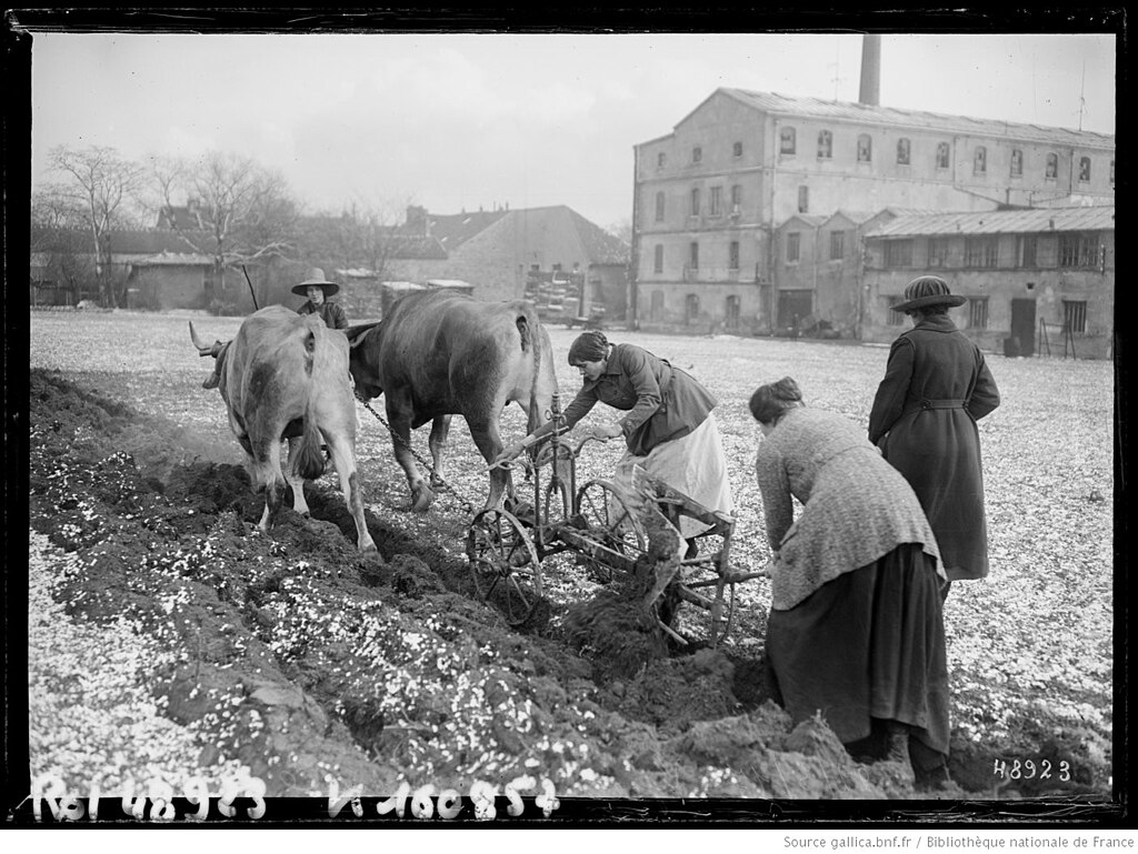 Artisan renovation interieure Val-de-Marne