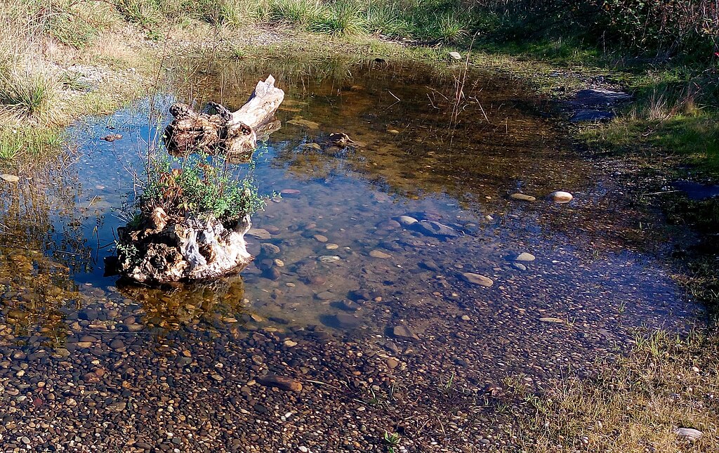 Artisan renovation interieure Wittenheim