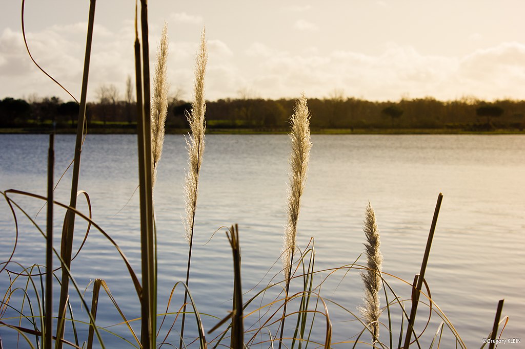 Artisan renovation interieure Tournefeuille