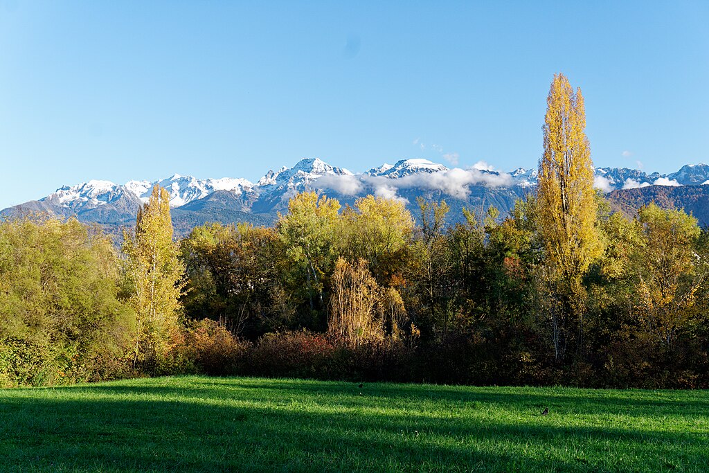 Artisan renovation interieure Meylan