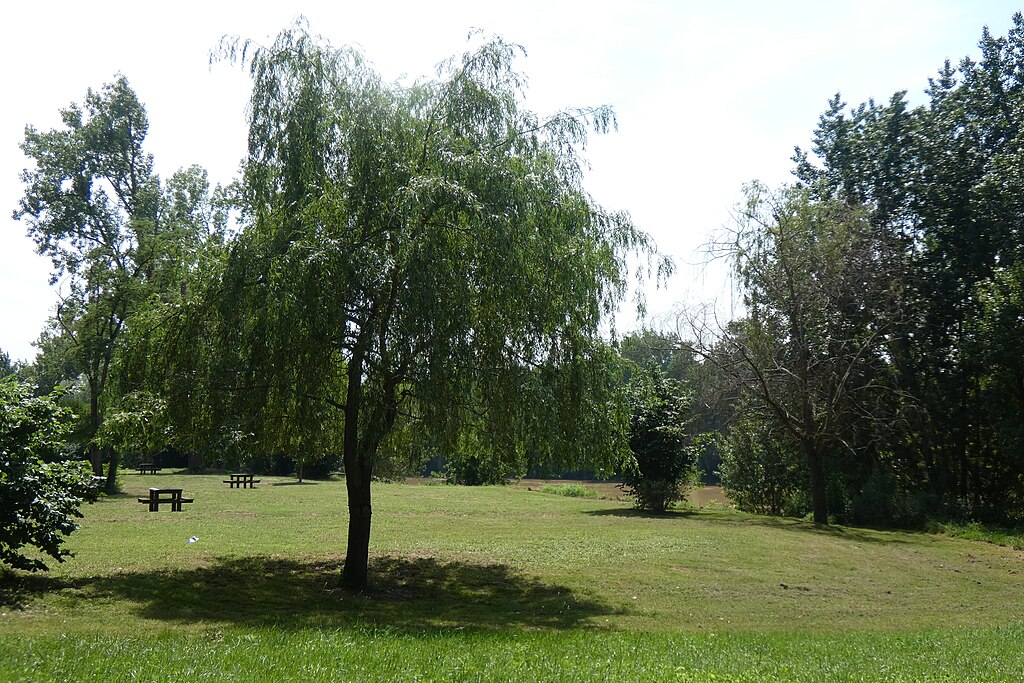 Artisan renovation interieure Marmande