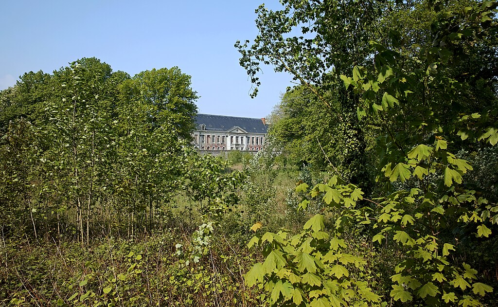 Artisan renovation interieure Loos