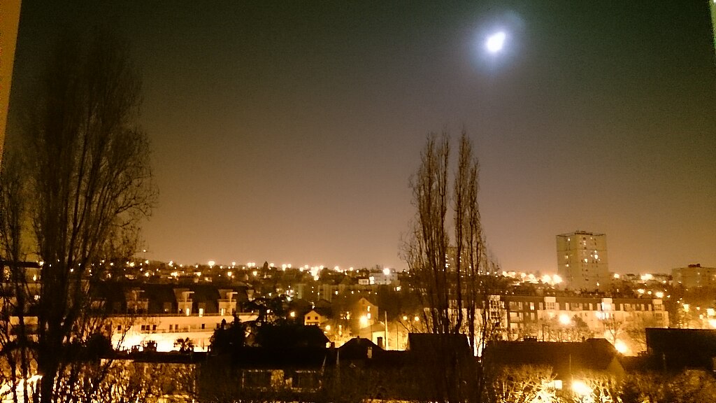 Artisan renovation interieure Cachan